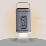 ჰაერის ამოსატუმბი/საბერი